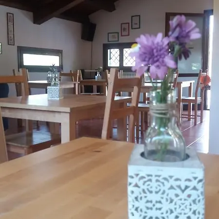 Il Nido Delle Aquile Dell'etna Guest house