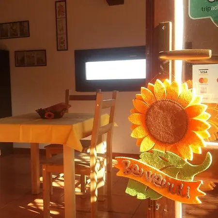 Πανσιόν Il Nido Delle Aquile Dell'etna Milo